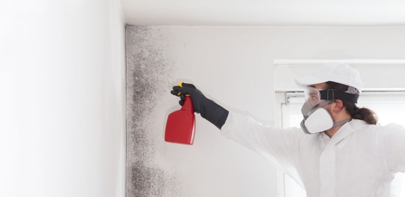 Attic Mold Remediation in Dallas, TX
