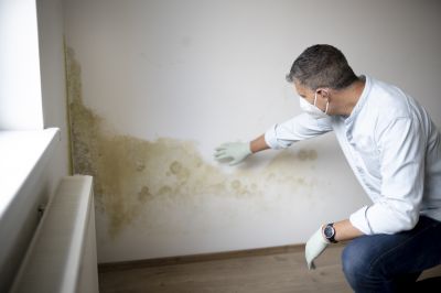 Crawlspace Mold Remediation in Dallas, TX