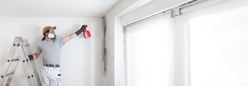 Mold Remediation Service in Fort Worth, TX