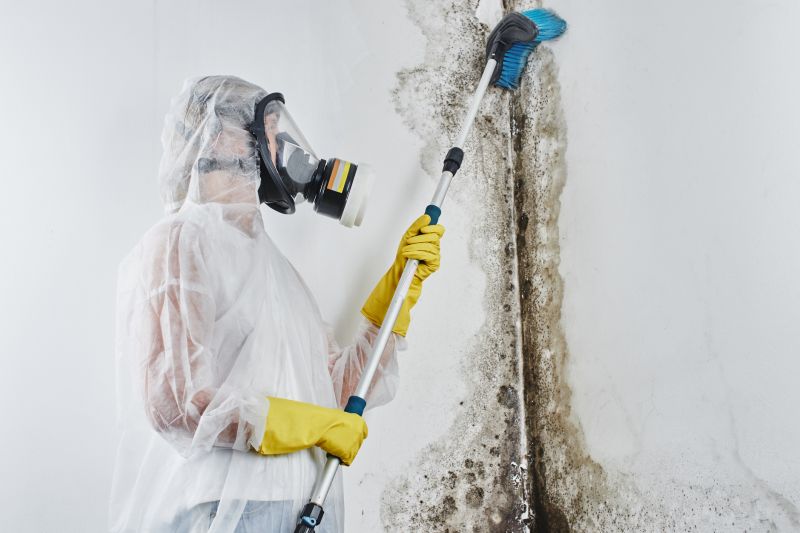 Mold Remediation Service in Fort Lauderdale, FL
