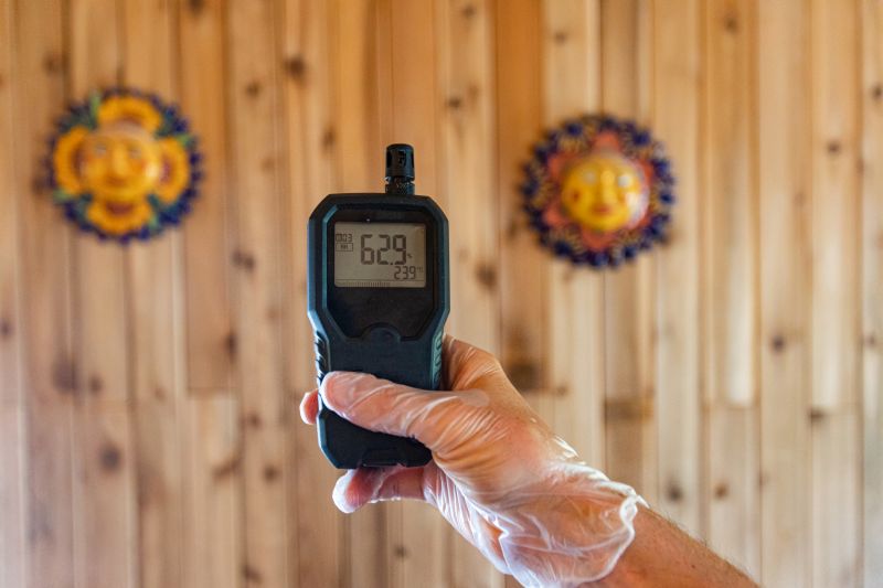 Mold Air Sampling