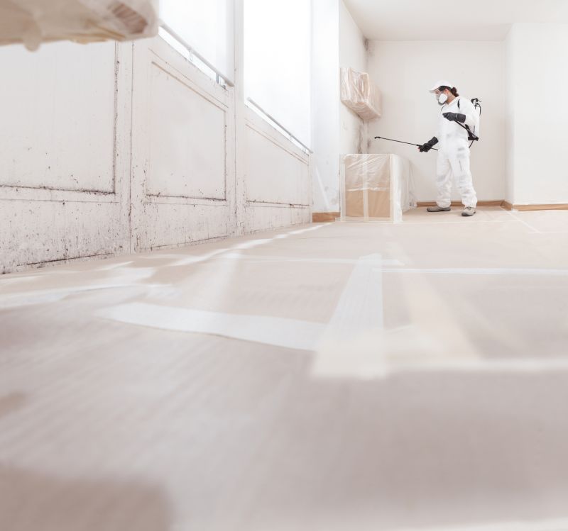 Basement Mold Remediation in West Palm Beach, FL