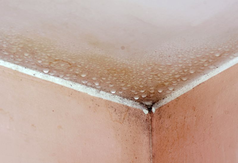 Basement Mold Remediation in Broward County, FL