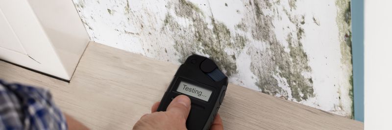 Indoor Mold Monitoring