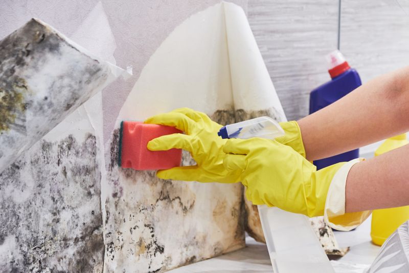 Mold Cleanup Service in West Palm Beach, FL